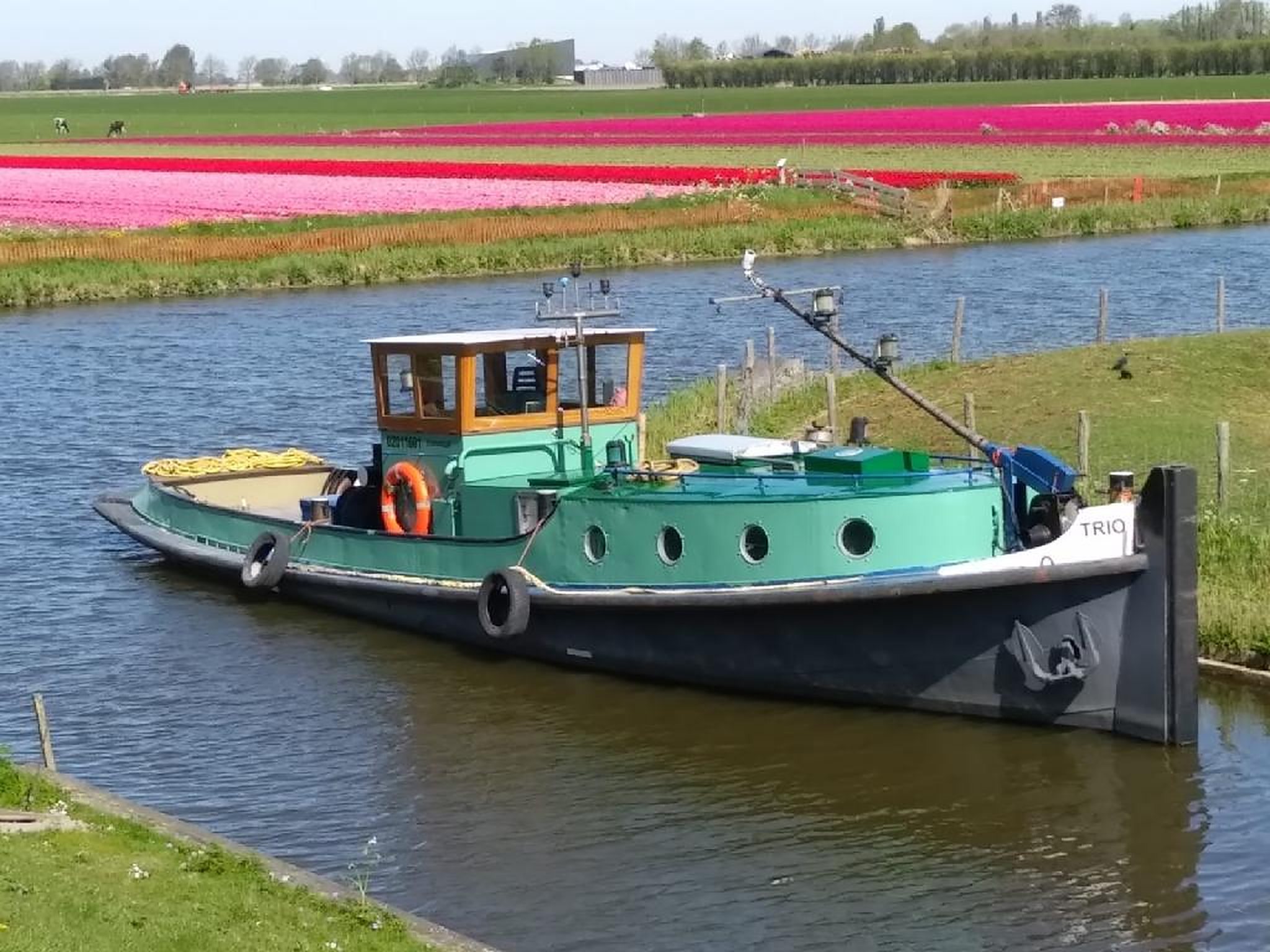 Duwsleepboot Trio van Trionaut afgemeerd in een sloot met bollenvelden op de achtergrond
